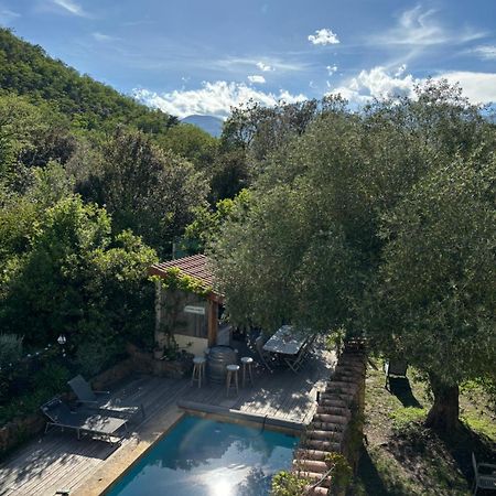 Villa Bonheur Vallespir Céret Exterior foto