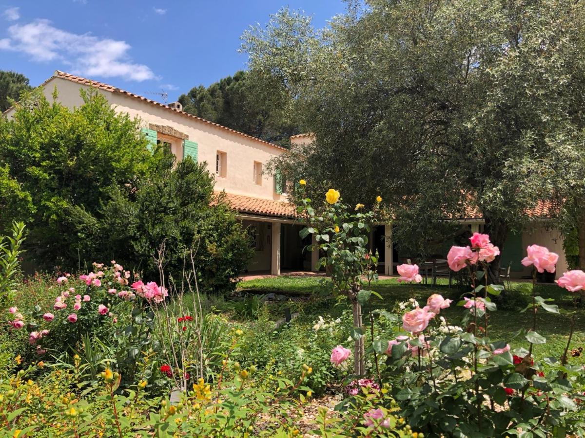 Villa Bonheur Vallespir Céret Exterior foto