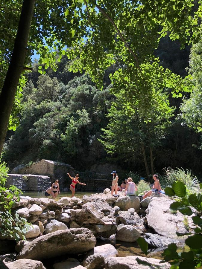 Villa Bonheur Vallespir Céret Exterior foto